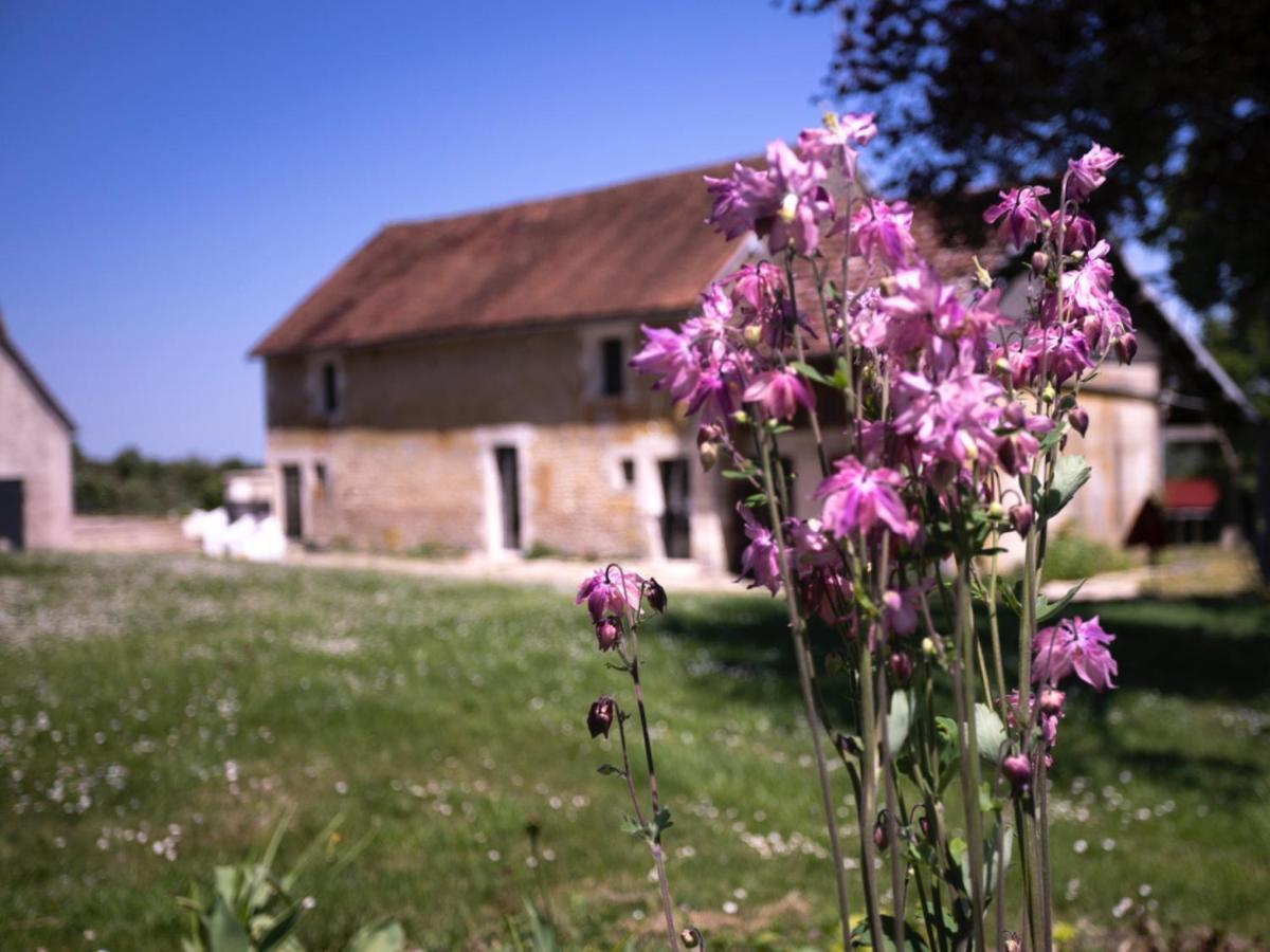 Bed and Breakfast La Guirtelle Lainsecq Exteriér fotografie