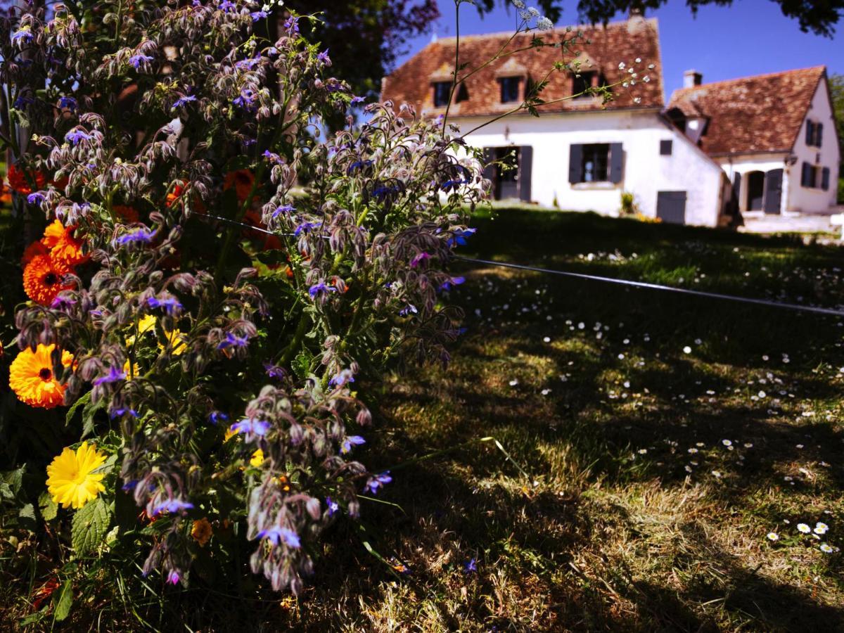 Bed and Breakfast La Guirtelle Lainsecq Exteriér fotografie